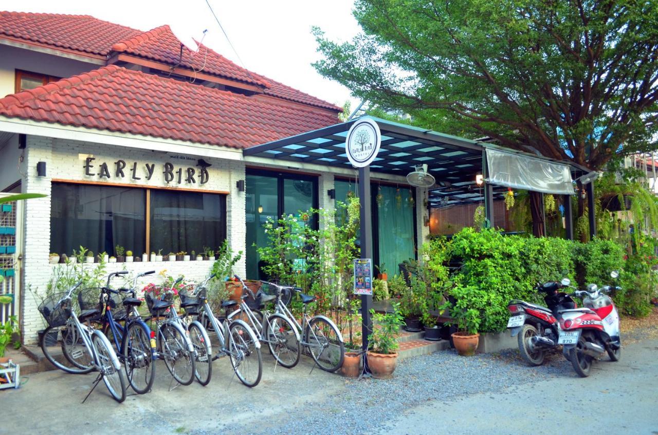 Early Bird Hostel